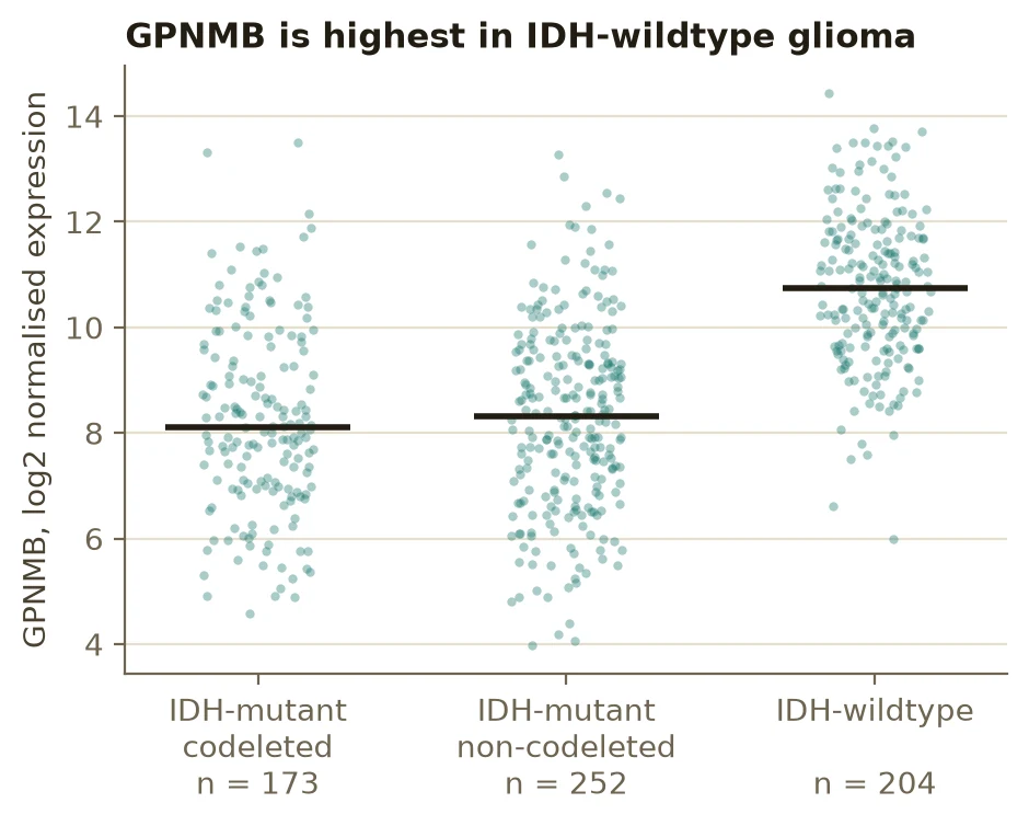 Strip plot of GPNMB expression by molecular class, highest in IDH-wildtype