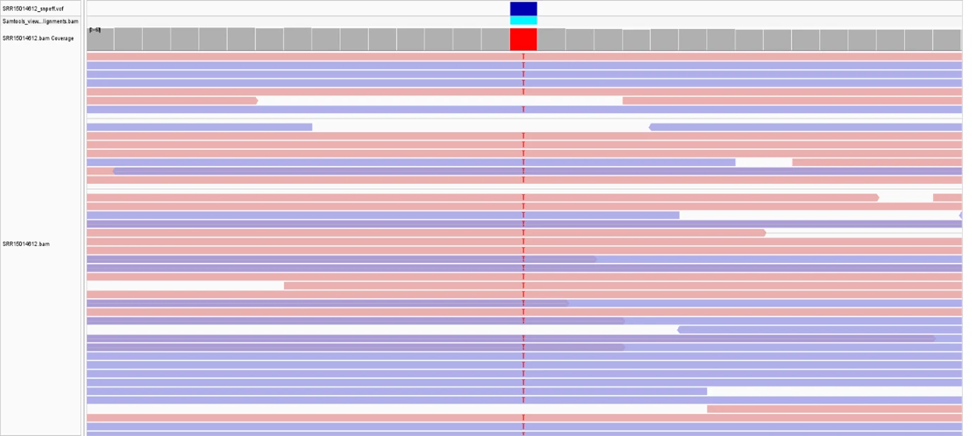 IGV screenshot showing reads supporting the rpoB S450L mutation