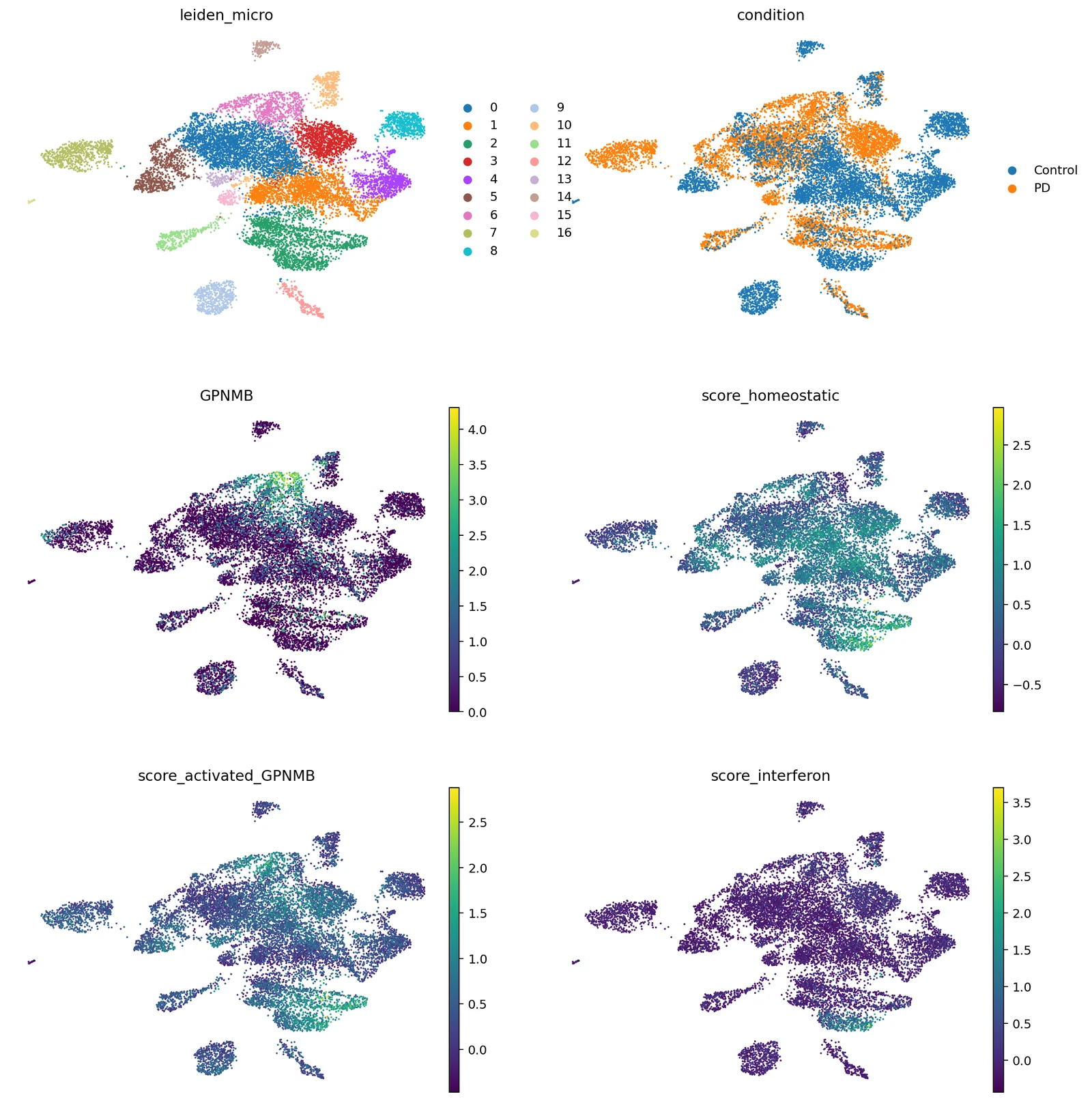 Six UMAP panels of 12,995 re-clustered microglial nuclei: Leiden clusters, condition, GPNMB and three programme scores